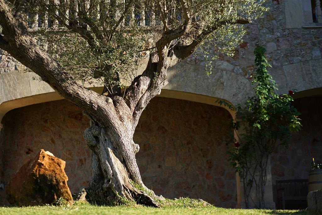 Cal Xino * Pollenca